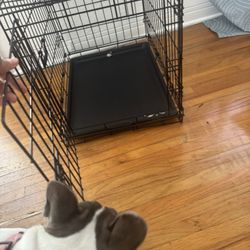 Dog Crate, New Condition