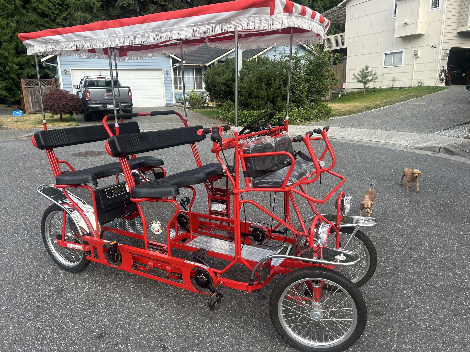 Surrey limousine deluxe sale