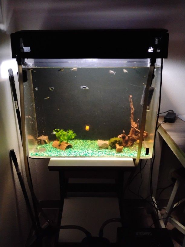 30 Gallon Acrylic Tank With Brand New Filtration System