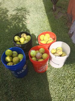 5 buckets of 12  in balls