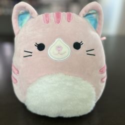 Flippa The Pink Tabby Squishmallow Cute Pink Cat Plush Toy
