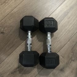 20lb Dumbbells