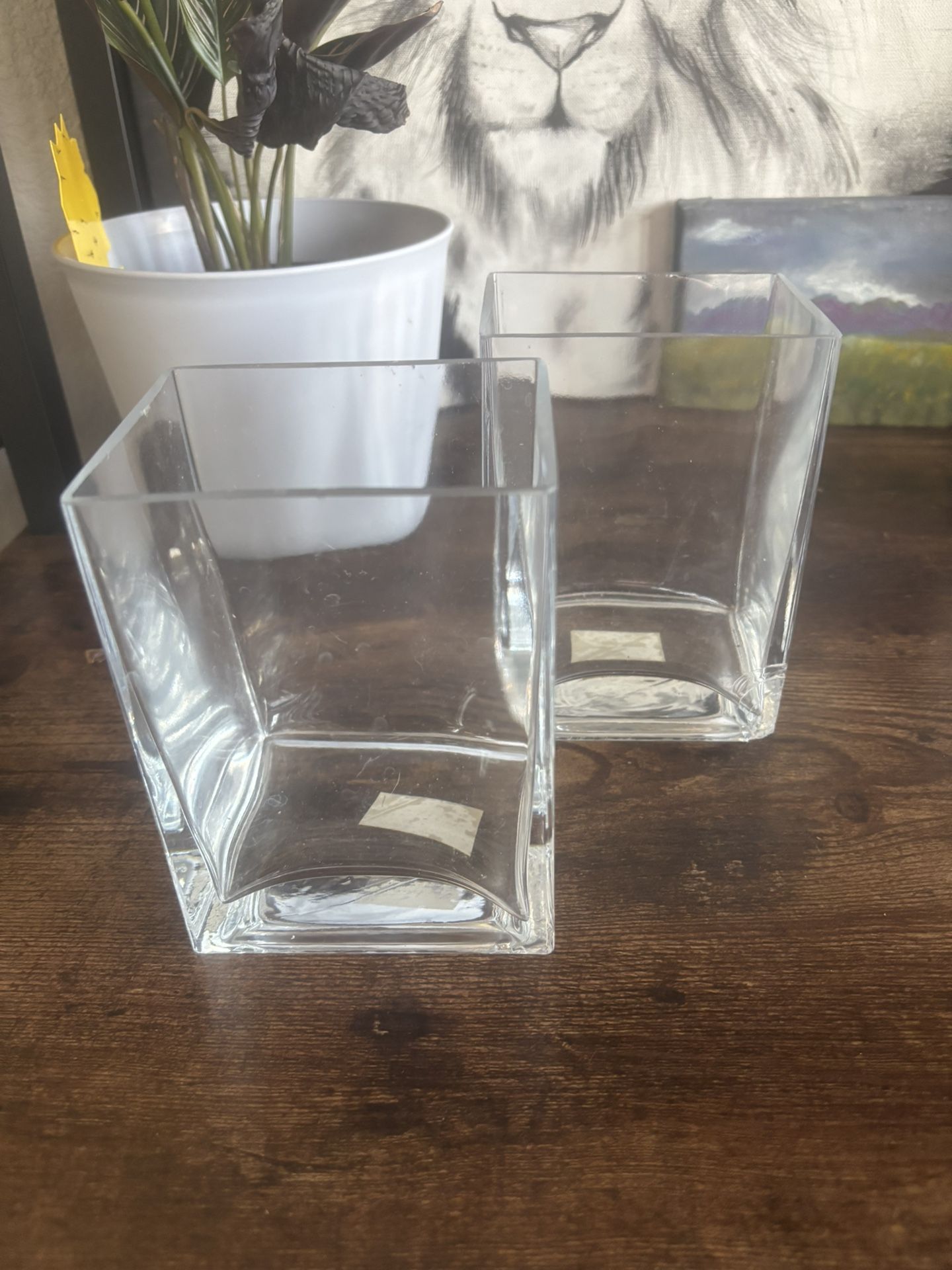 Decorative Square Glass Vases
