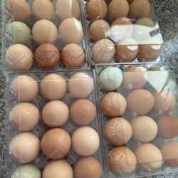 Organic Fresh Farm Eggs 