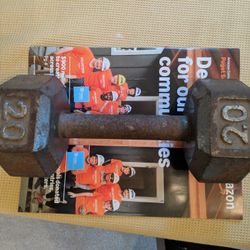 20 Lb Dumbbell (Single)
