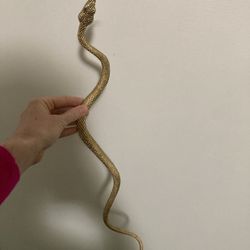 Gold Snake 