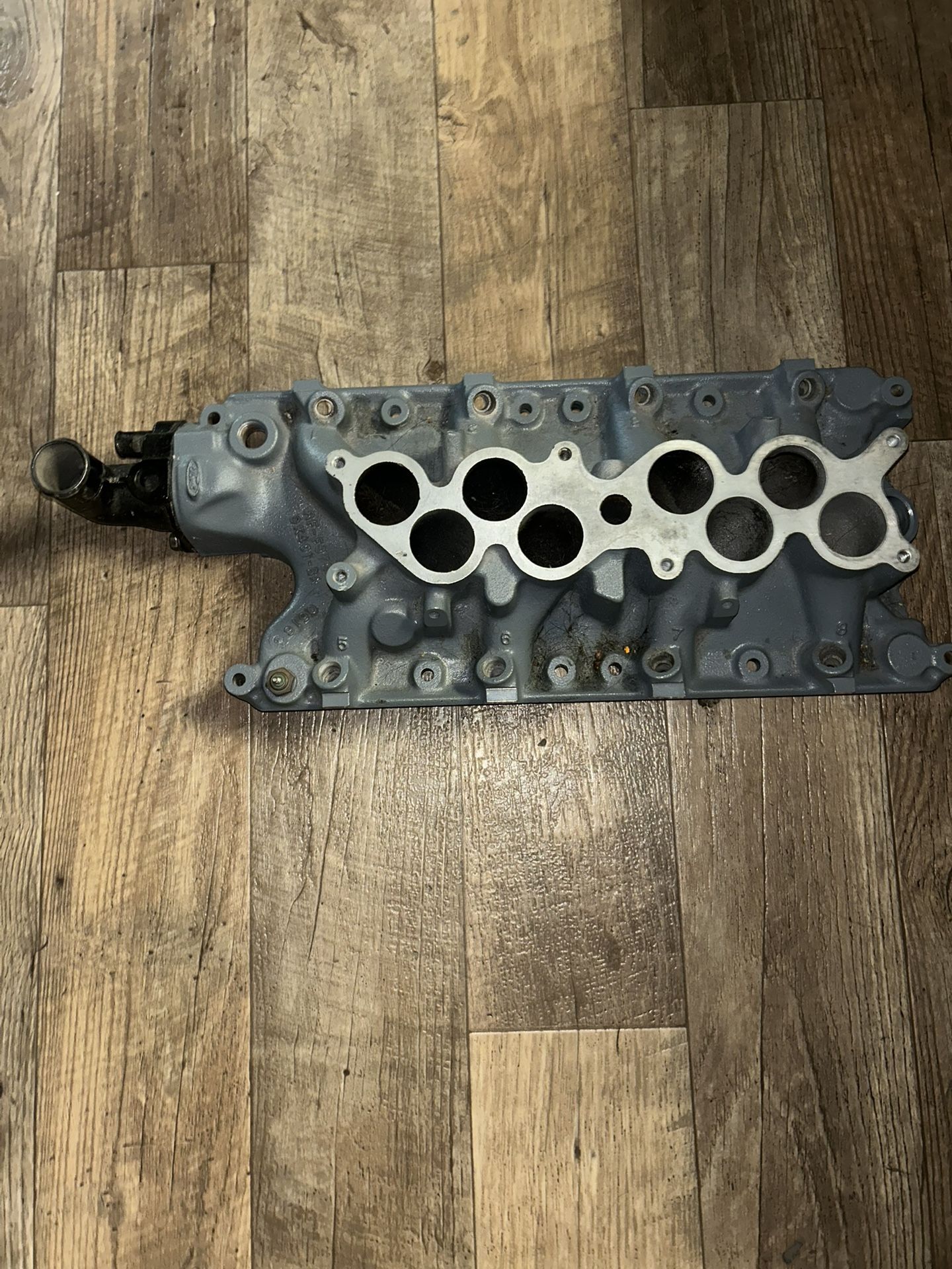 Fox body Parts 