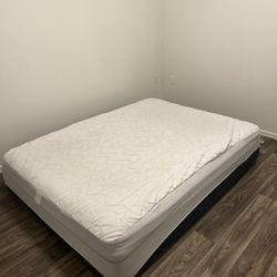 Queen Mattress – Moving Sale – Stained – Protector Sheet Included