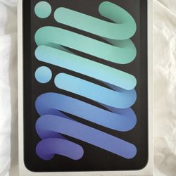 iPad Mini A17 Pro