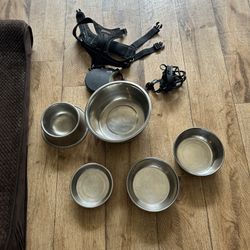 Dog Care Supplies 