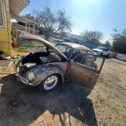 Vw Bettle 