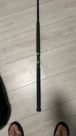 Fishing rod