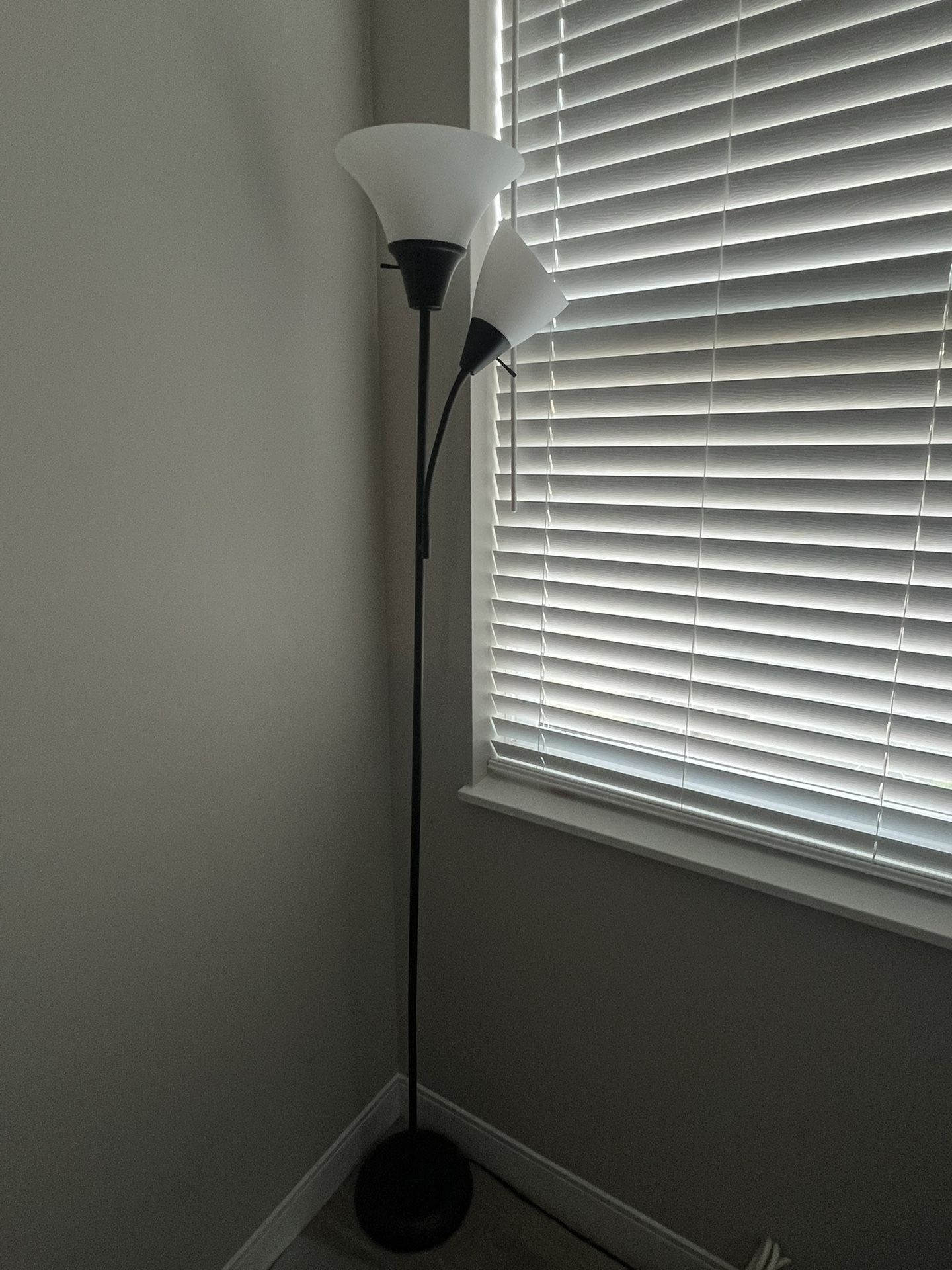 Two of these for $40. One for $25. Living room. Floor lamp