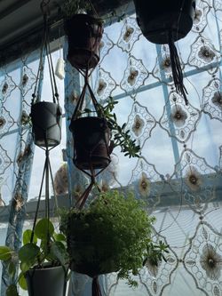 3 Tier Plant Hanger 