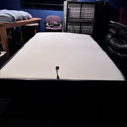 Fold Out Bed (Twin Size)