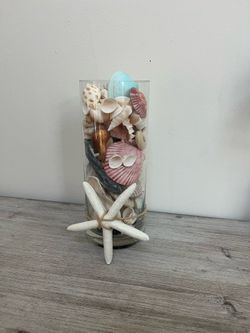 Vase with Seashells