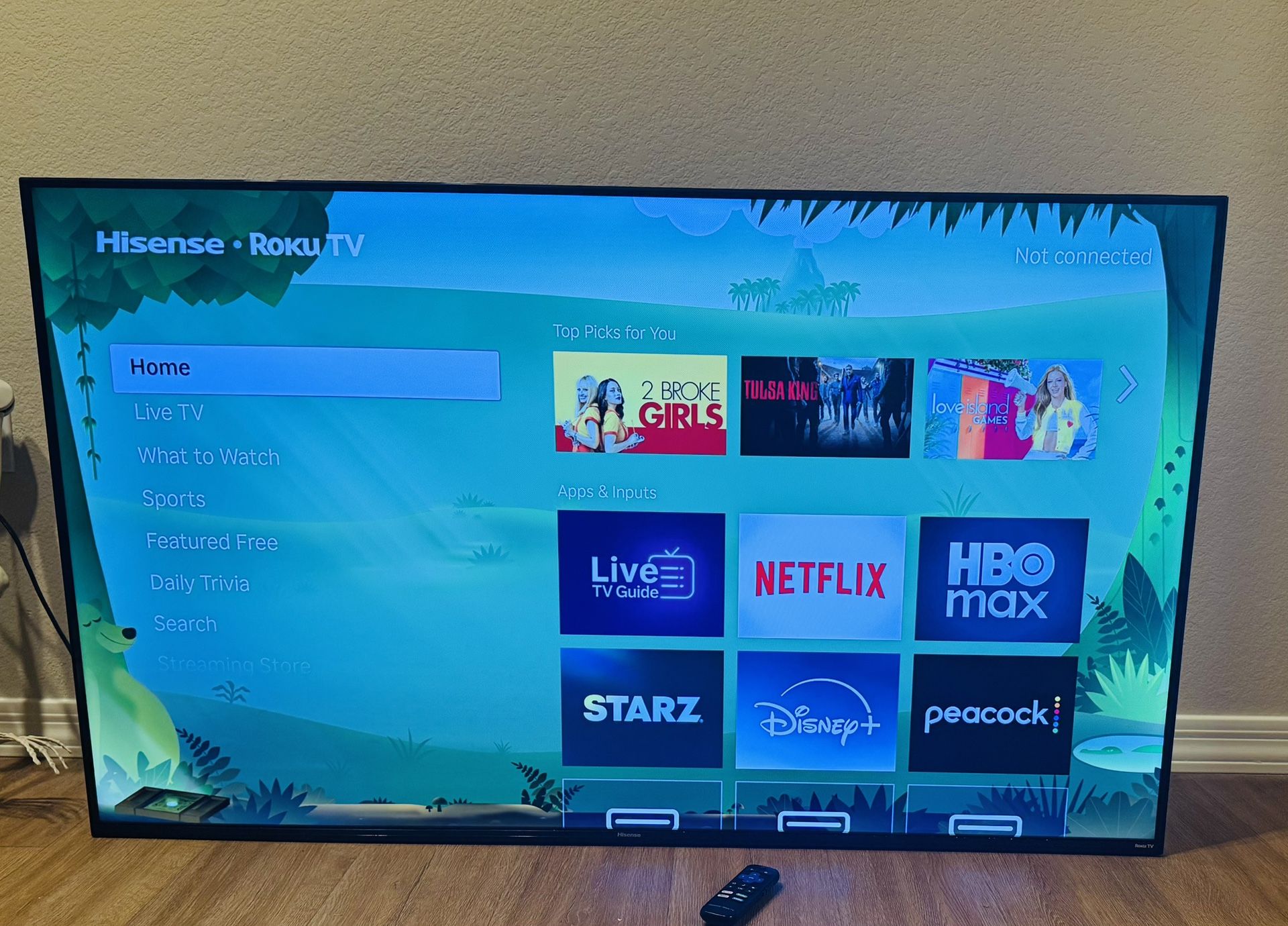 Hisense Roku 50” Smart TV 4k HDR 
