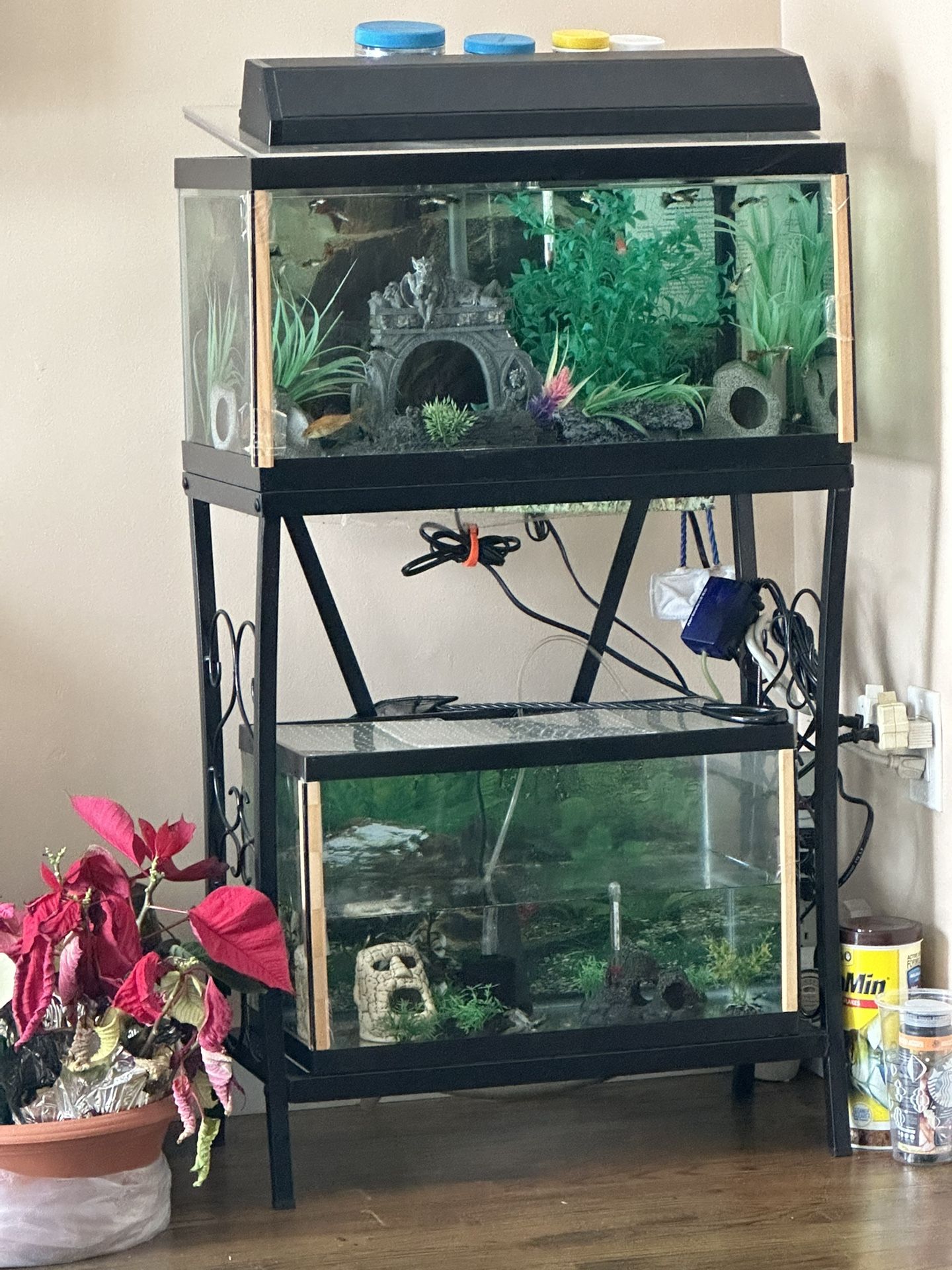 10/15/20 Gallon Fish Tank Set With Equipment