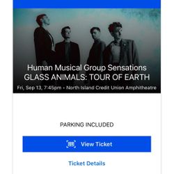 Glass animals Ticket