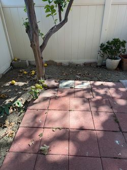 Free pavers!!!!