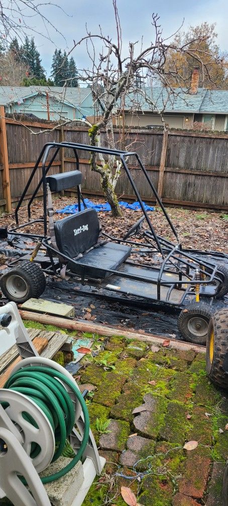 2 Seat Go Kart With Suspension And Seatbelts