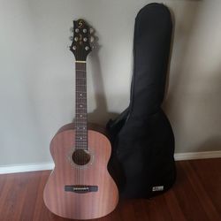 Greg Bennett Guitar And Case