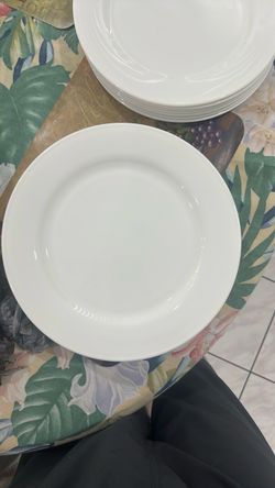 Dinner plate