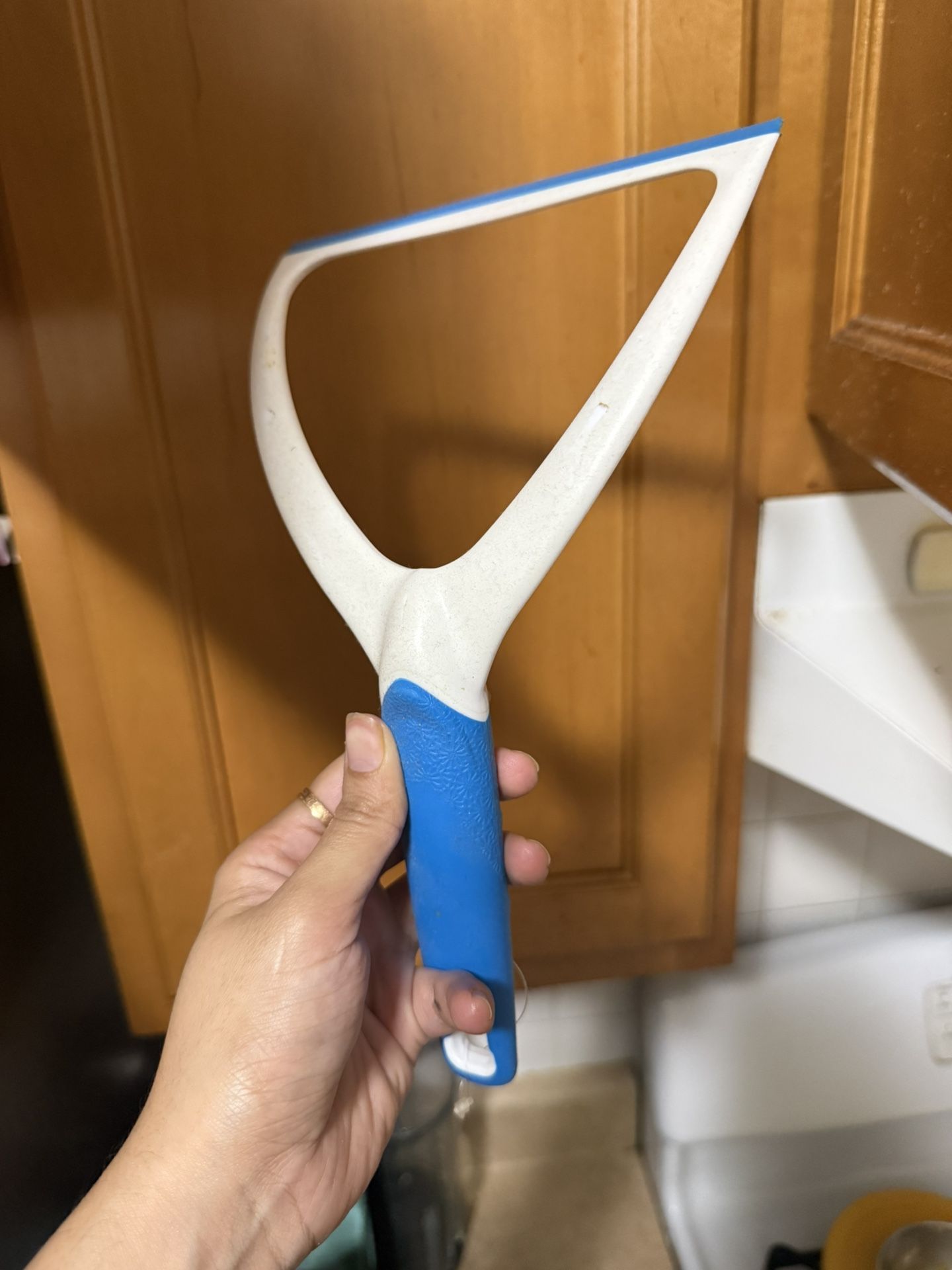 Shower Squeegee - Blue & White