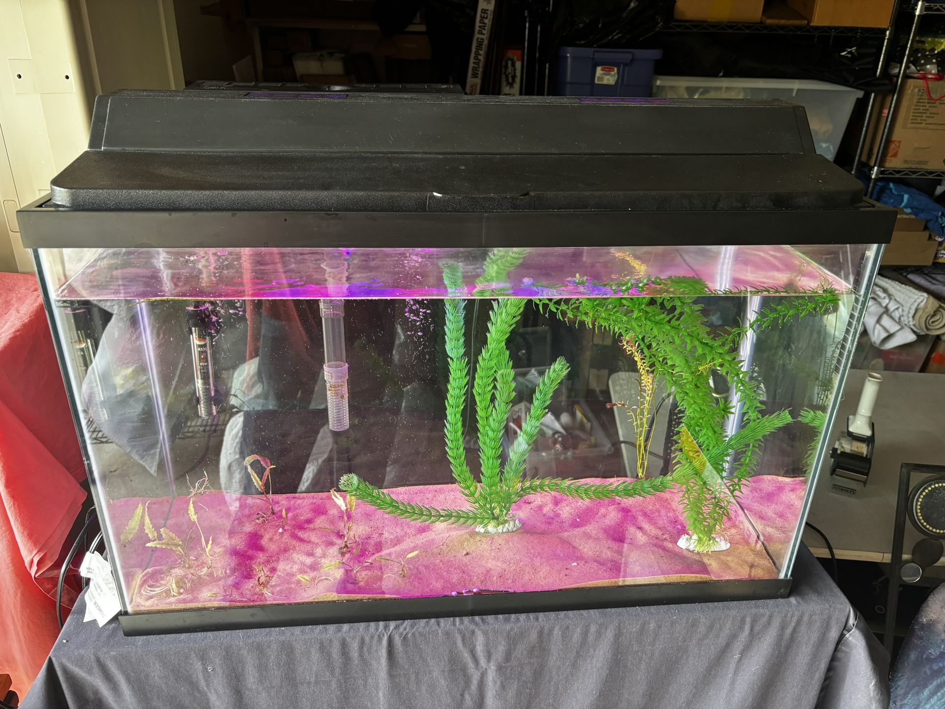 Large 29 Gallon Fish Tank with Filter & accessories
