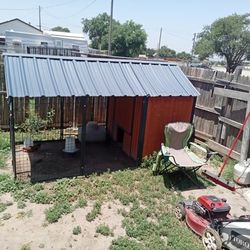 Chicken Coop