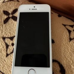 iPhone 5S 