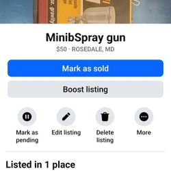 Mini Spray Gun
