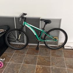 Diamondback Mountain bike 