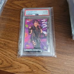 2018 Topps WWE Natalya
