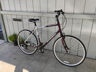 Comfort bike
