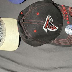 Falcons Hat