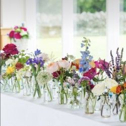 6 Flower Vases