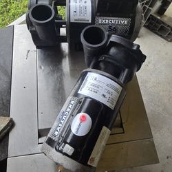 High Performance Pool And Spa Pump
