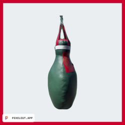 Bowling Pin Heavy Bag 