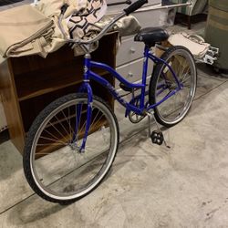 Buddy Bicycle 