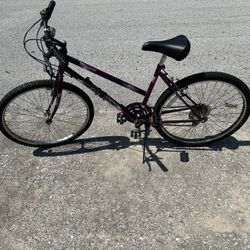 Woman Women’s Purple Bike Bicycle 18 Speed