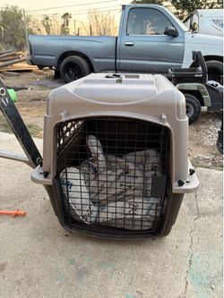 Pet carrier
