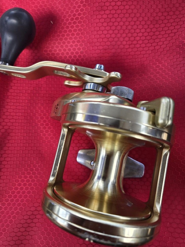 Shimano Trinidad TN 40 Gold