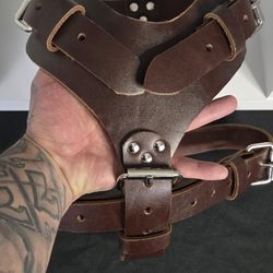 Dog Harness