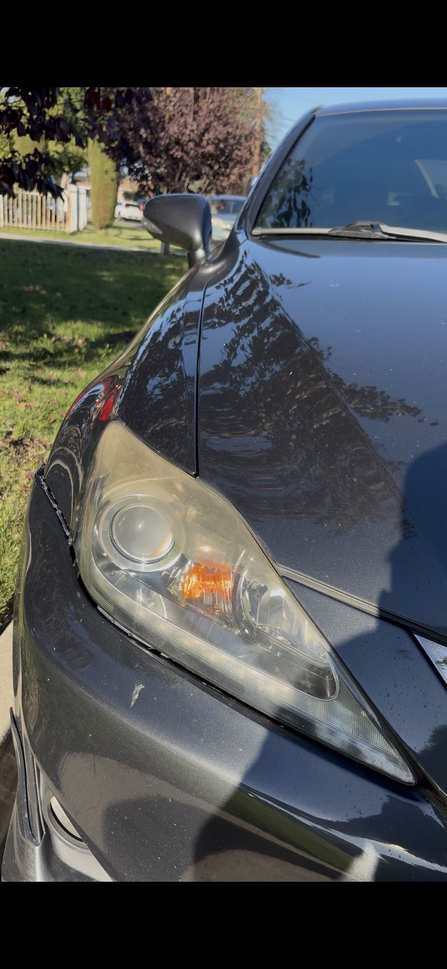 Headlight Restore