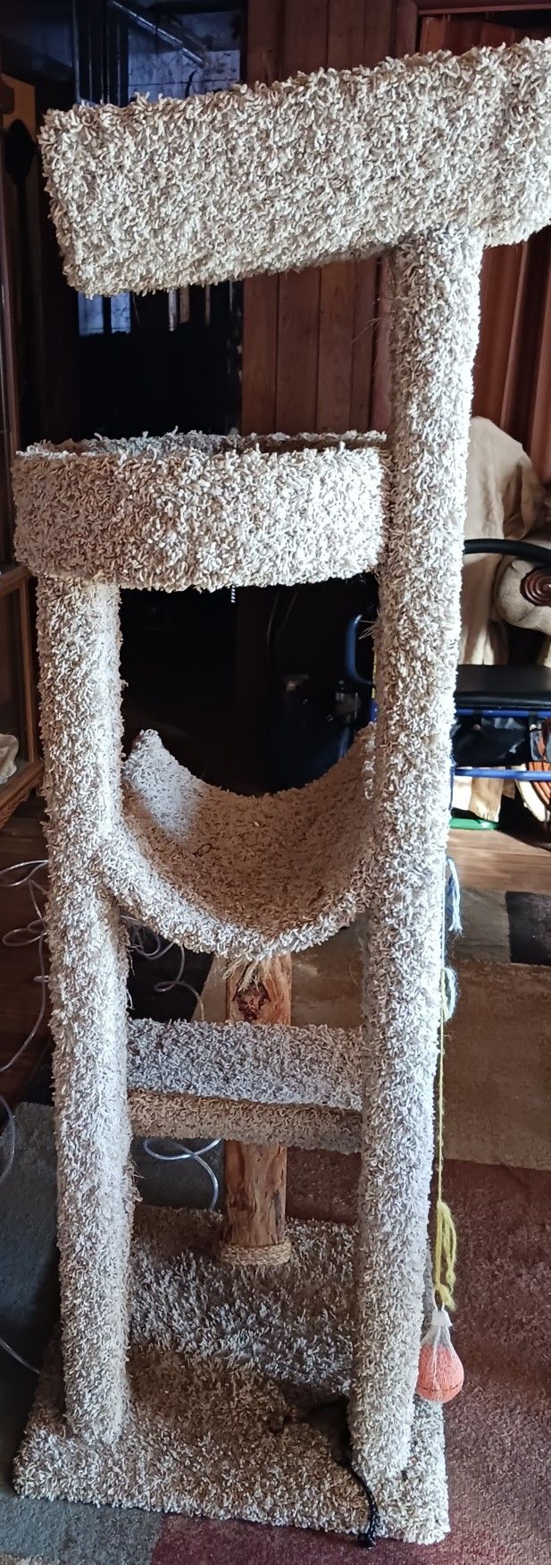 Cat Tower