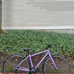 Fairdale Nora Lookfar Hybrid Bike Commuter Bicycle Small frame