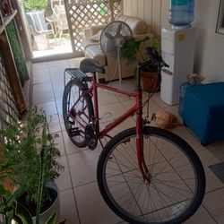 Bike 26