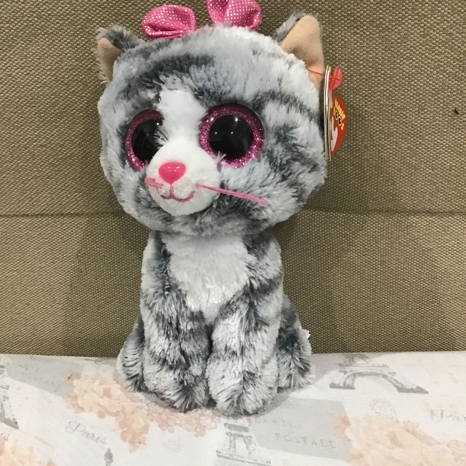 Gray and white beanie boo cat