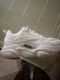 dior b22s